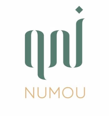 شركة نمو المتكاملة العقارية Logo